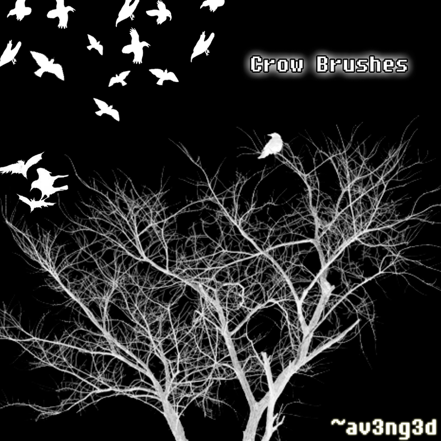 Crow Brushes by aV3nG3d