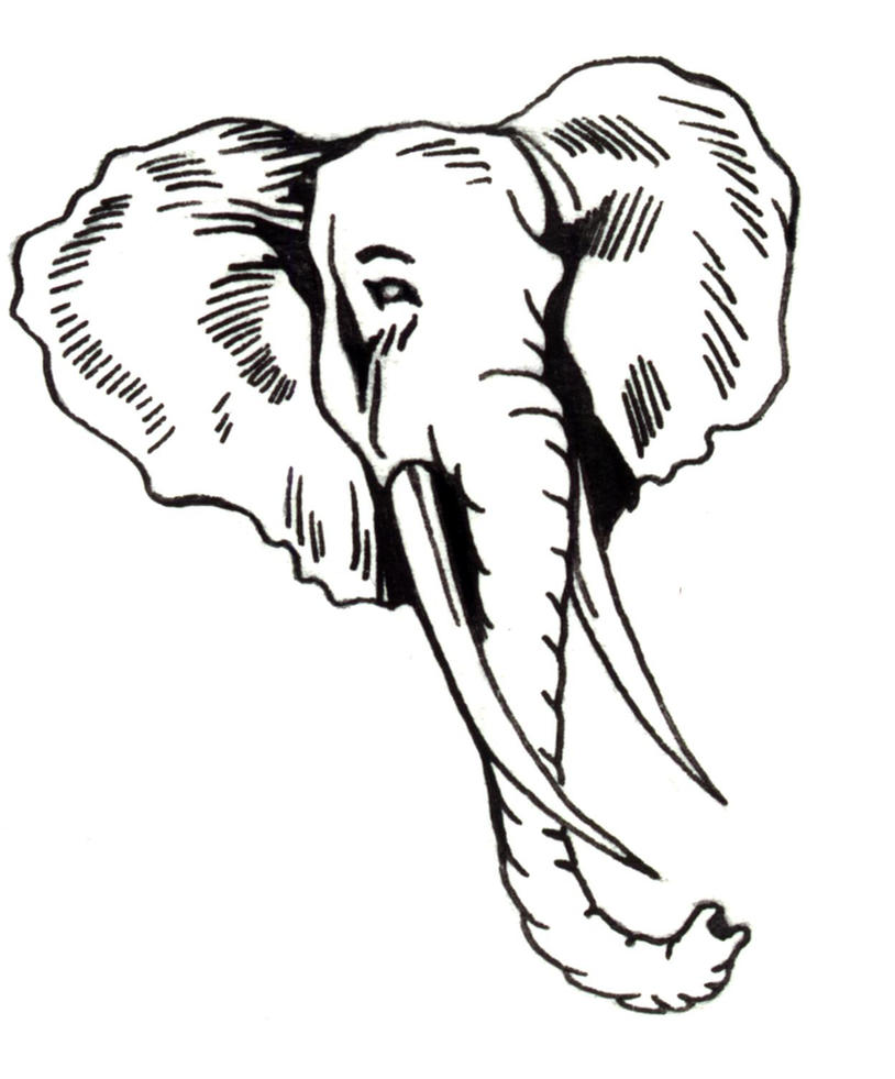 elephant head clipart - photo #29