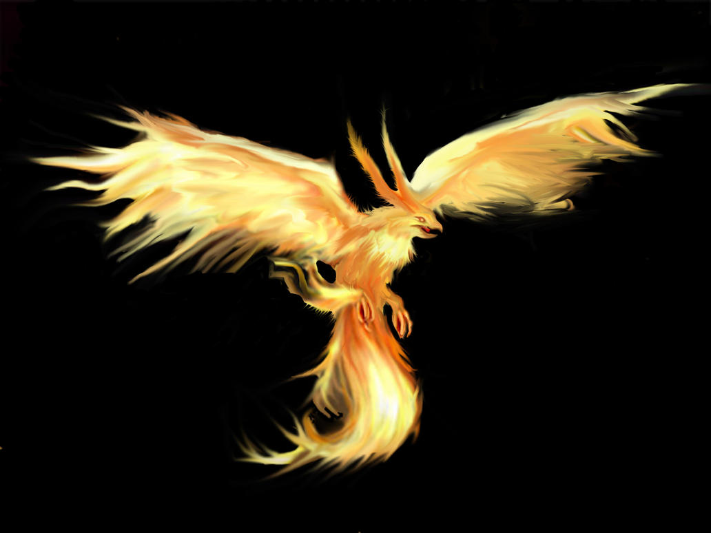 Bird of Fire by ChiDan on
