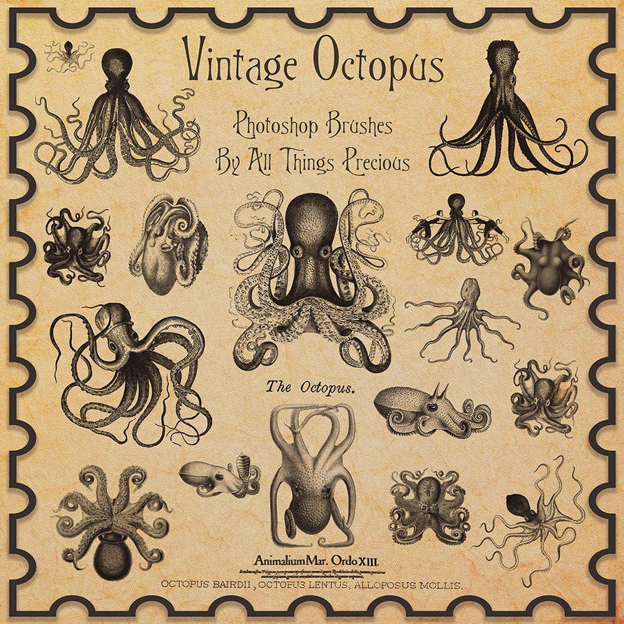 vintage octopus clipart - photo #40