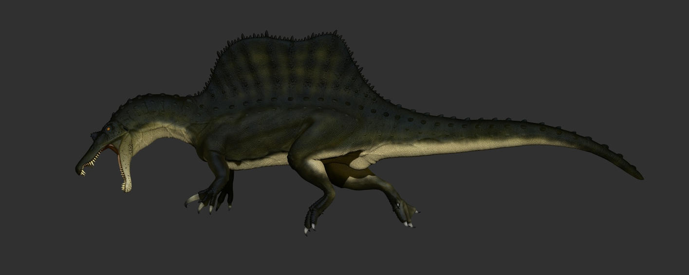 spinosaurus_new_version_by_manuelsaurus-d7zk0qi.jpg