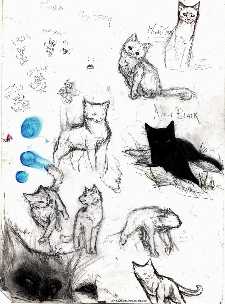 study_of_cats_by_moonsstorm-d6w82jt