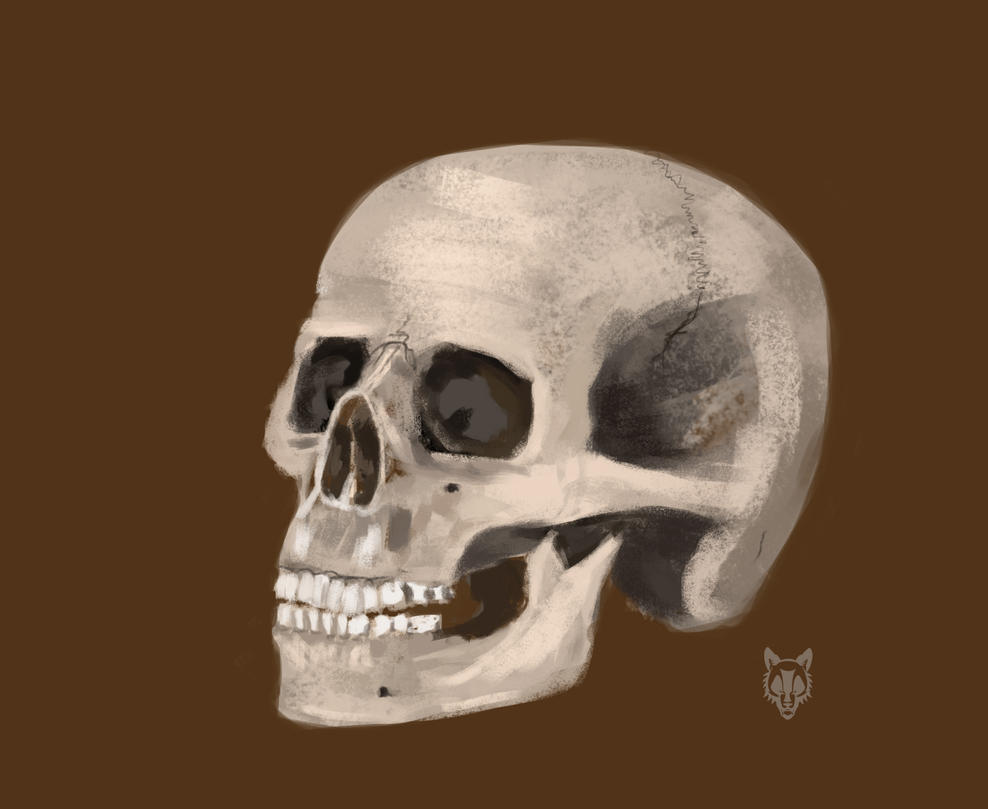 [Image: skull7_by_wolkenfels-d7ft5zb.jpg]