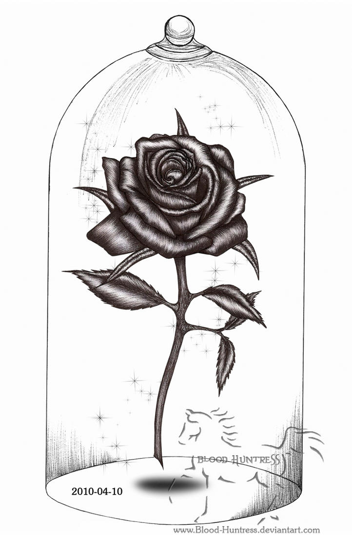 Rose Pen Drawing With Glass by