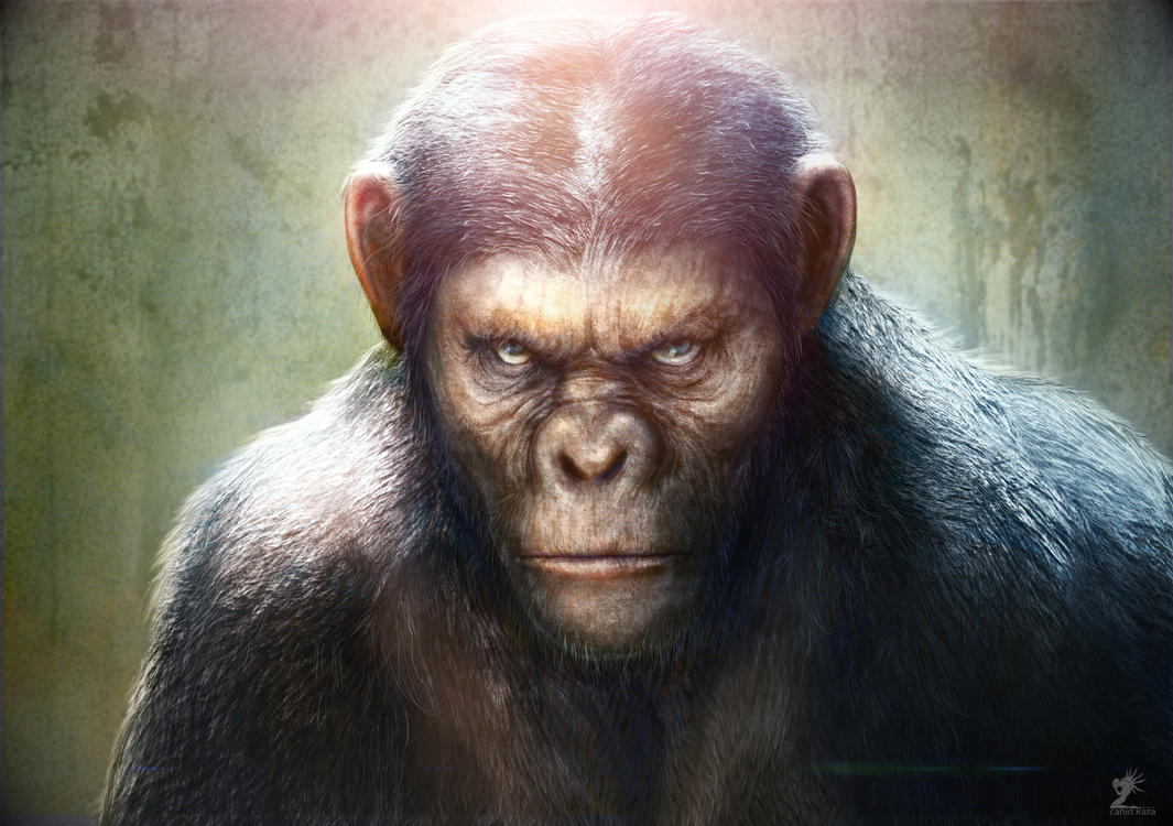 Monkey [1978-1980]