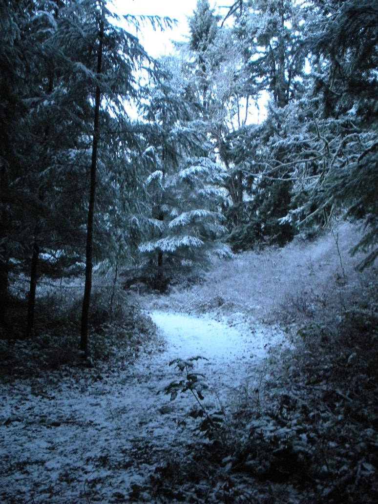 Winter Wonderland by *Nightclaw on deviantART