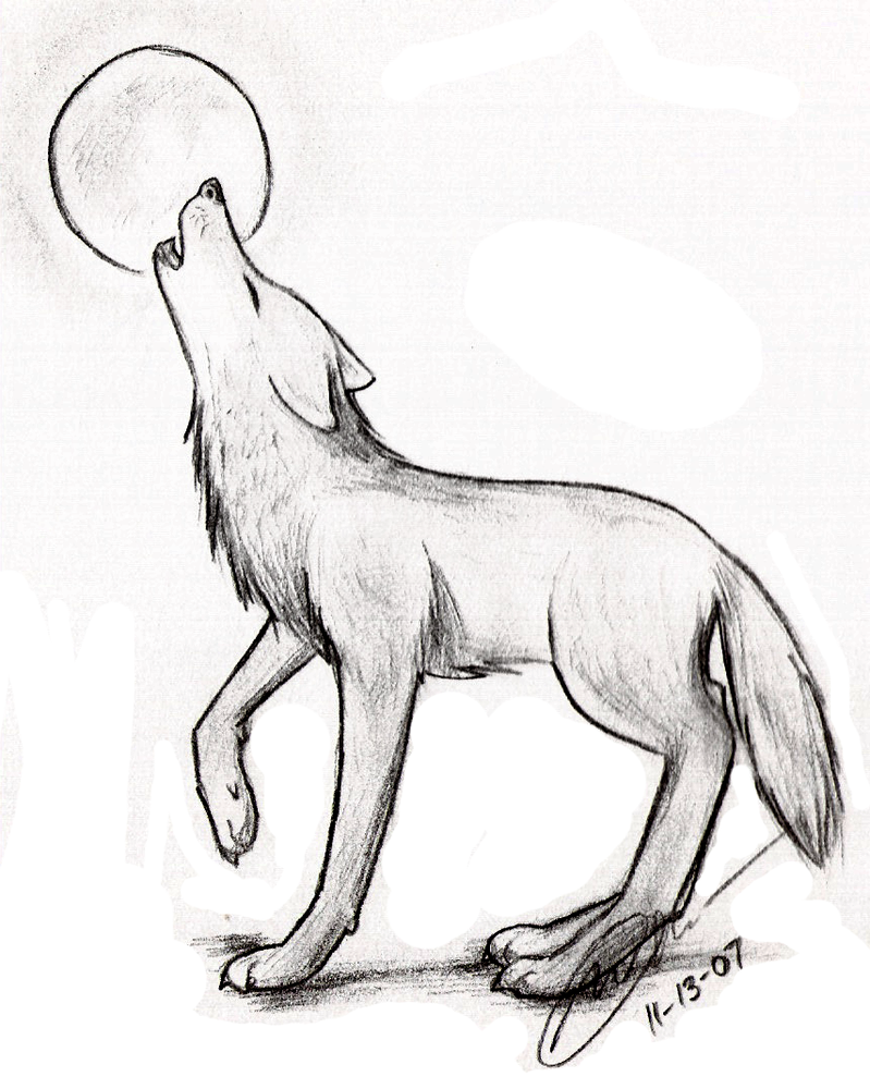 Wolf Drawings Google Search Dessins Faciles Dessin De Loup Dessin Images