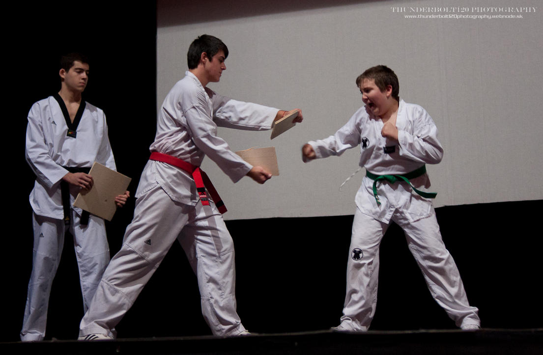 ŠKP Ryong Taekwondo